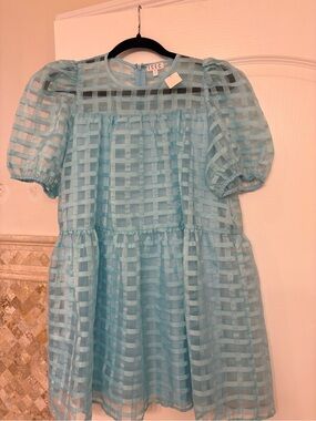 TCEC Aqua Blue Sheer Check Puff-Sleeve Dress